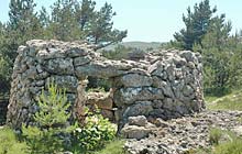  Borie Caussols CCC photo borie-caussols-cc0002s.jpg (11 k)