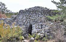  Borie Caussols Negre photo borie-caussols-negre0011s.jpg (11 k)