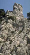 photo-4
