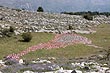 photo calernart04j0029th.jpg
