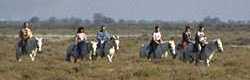  Camargue photo camargue77s.jpg (3 k)