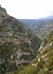  Nesque Gorges photo nesque032.jpg (8 k)