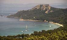  Porquerolles Island photo porquerolles026.jpg (6 k)