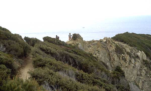 Port-Cros Island photo portcros067b.jpg (27 k)