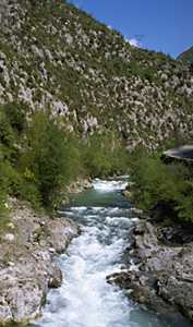 Roya Valley photo roya089.jpg (11 k)