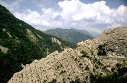  Taulanne Clue photo taulanne01.jpg (8 k)