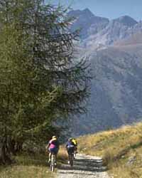  Cycling photo casterino062.jpg (9 k)