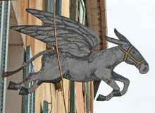  Flying Donkey Legend photo flyingdonkey0072s.jpg (8 k)
