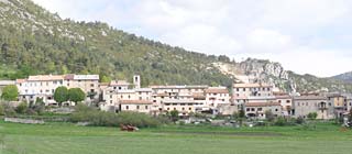  Caille photo caille0055s.jpg (9 k)