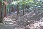 Shady Hiking Trail, Cros d'Utelle hike 