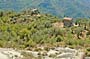 Decent towards Cros d'Utelle, hike 