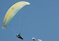 Parasailer and Spring blossoms on the