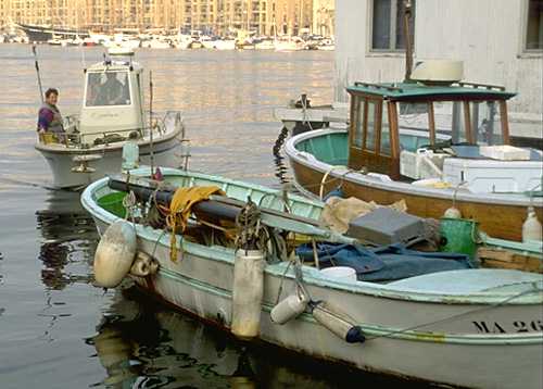  Marseille Fish Market photo marsboat095b.jpg (28 k)