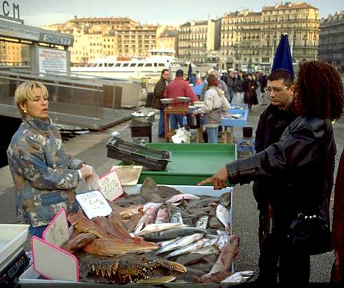  Marseille photo marsfish081b.jpg (33 k)