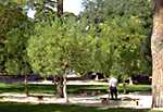 village photo