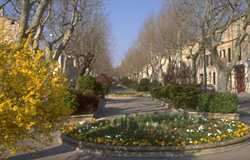  Pertuis photo pertuis030.jpg (8 k)