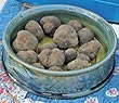 Truffles at Richerenches