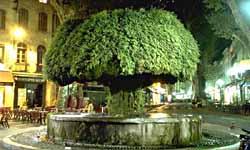  Salon-de-Provence photo salon09.jpg (11 k)