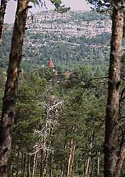  Thorenc photo thorenc.jpg (11 k)