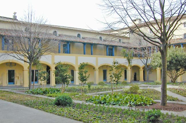  Van Gogh photo arles0007b.jpg