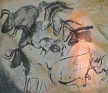 Ard&egrave;che Gorges Chauvet cave painting