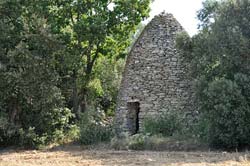 A field-side capitelle on the