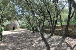 Another La Librette capitelle in an