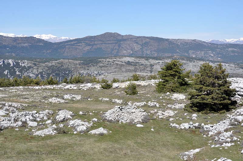  Borie Calern BaumeNorth-Broken photo borie-calern-baumenorth-broken0002b.jpg