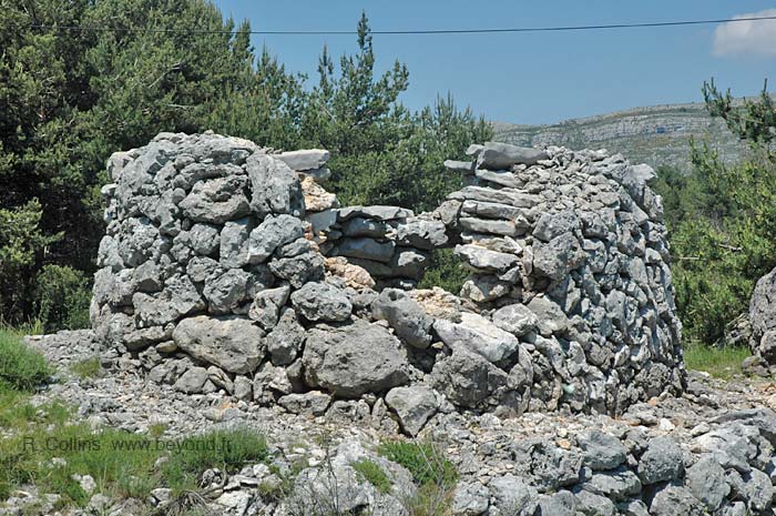  Borie Caussols CCC photo borie-caussols-cc0008b.jpg