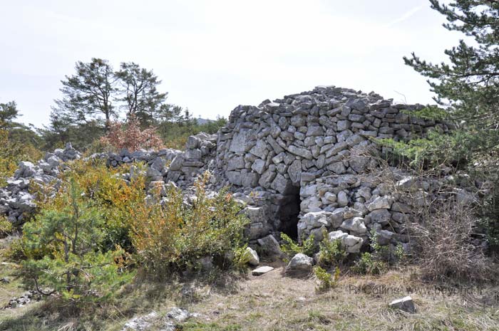  Borie Caussols Negre photo borie-caussols-negre0011b.jpg