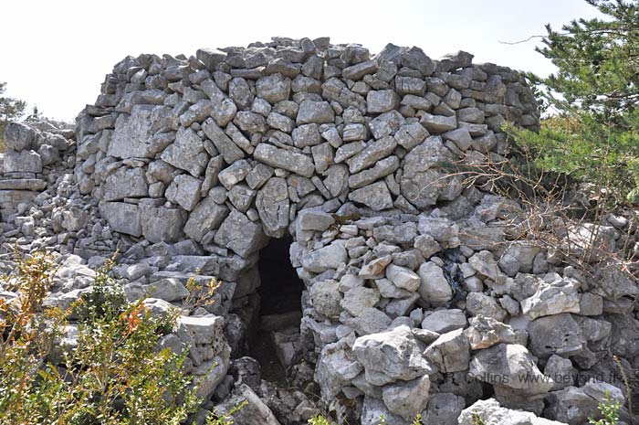  Borie Caussols Negre photo borie-caussols-negre0013b.jpg