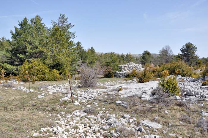  Borie Caussols Negre photo borie-caussols-negre0020b.jpg