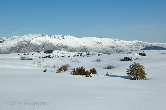  Calern Plateau photo calern0072b.jpg