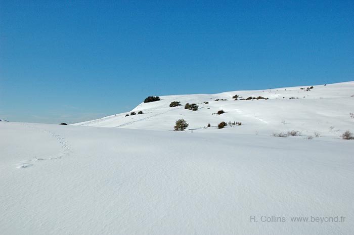  Calern Plateau photo calern0074b.jpg