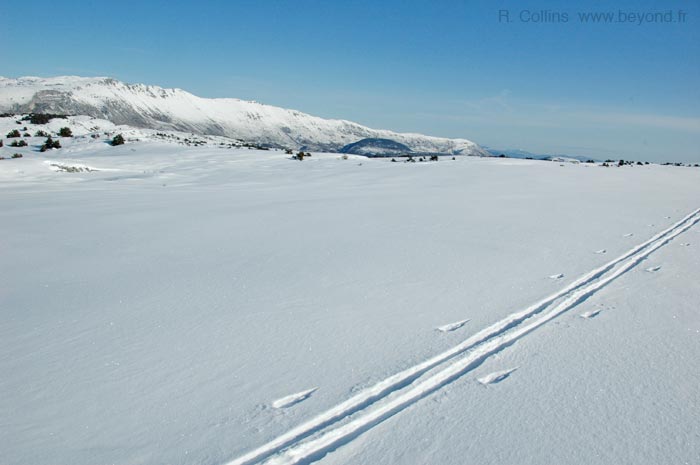  Calern Plateau photo calern0092b.jpg