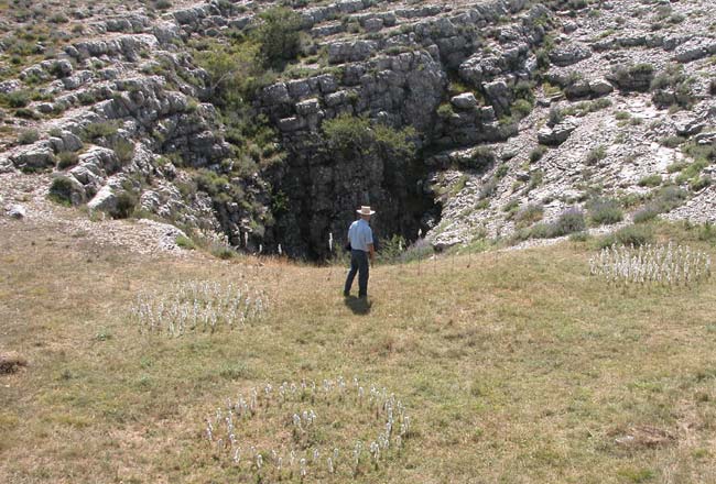  Calern 2004 photo calernart04j0032.jpg