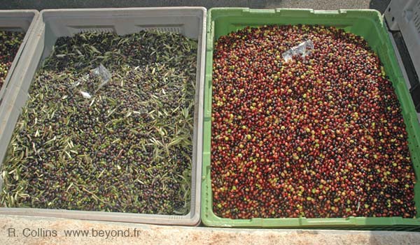  Callas Mill photo callas-mill0017b.jpg