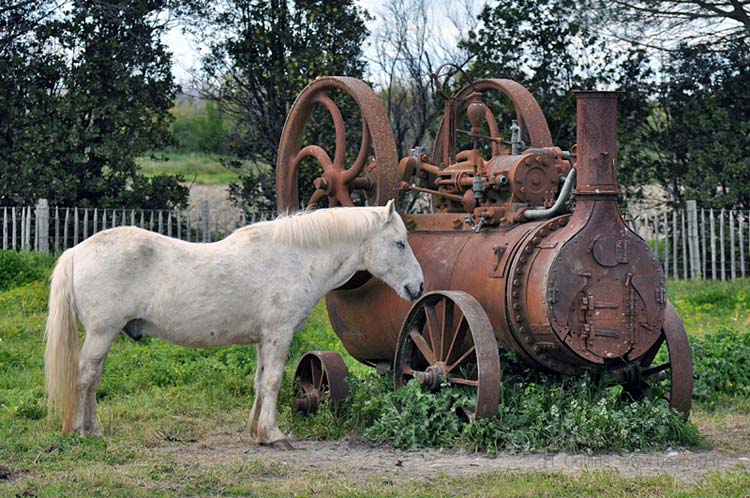  Camargue Museum photo camargue-museum0002b.jpg