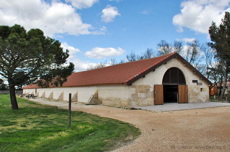  Camargue Museum photo camargue-museum0005b.jpg
