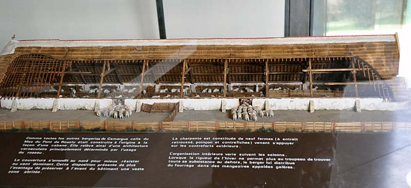  Camargue Museum photo camargue-museum0009b.jpg