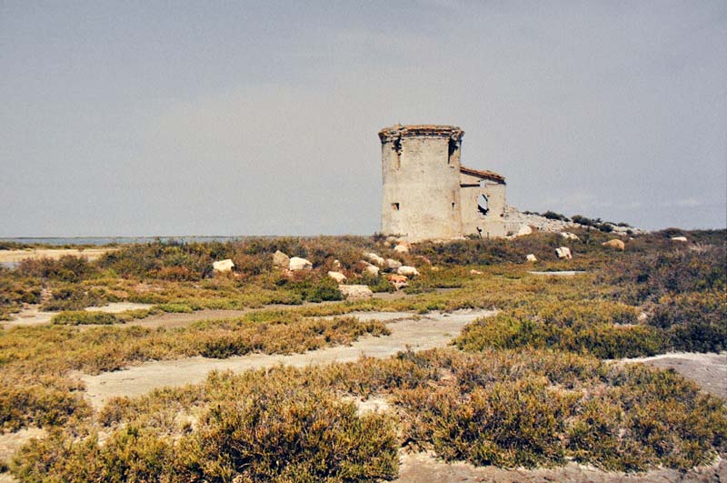  Camargue Museum photo camargue-museum0017b.jpg