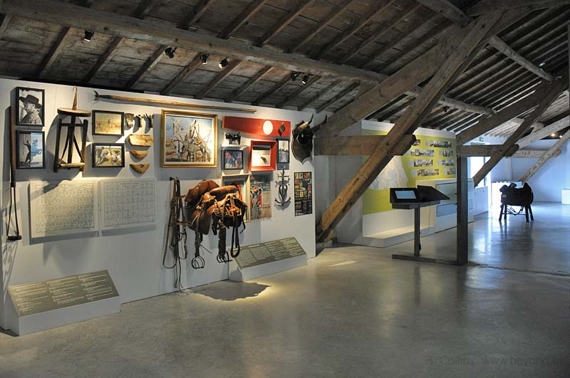  Camargue Museum photo camargue-museum0018b.jpg