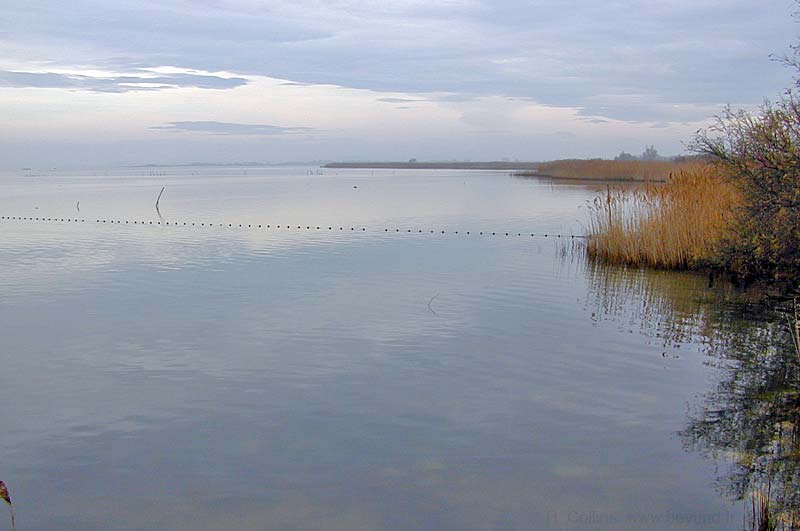  Camargue photo camargue0001b.jpg