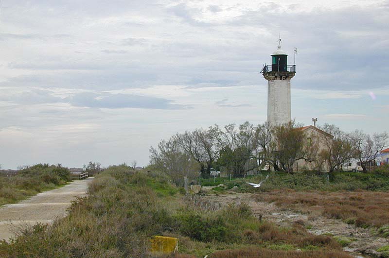  Camargue photo camargue0006b.jpg