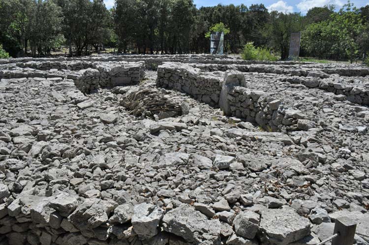  Cambous photo cambous0080b.jpg