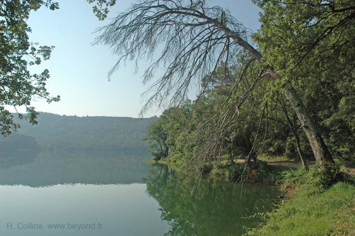 Carcès Lake photo carceslake0009b.jpg