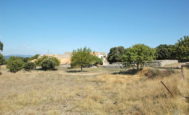  Causse Oppidum photo caussemasneuf0002b.jpg