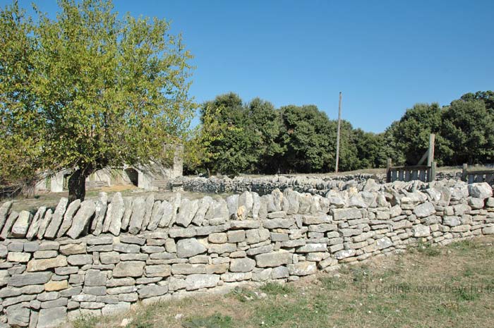  Causse Oppidum photo caussemasneuf0007b.jpg