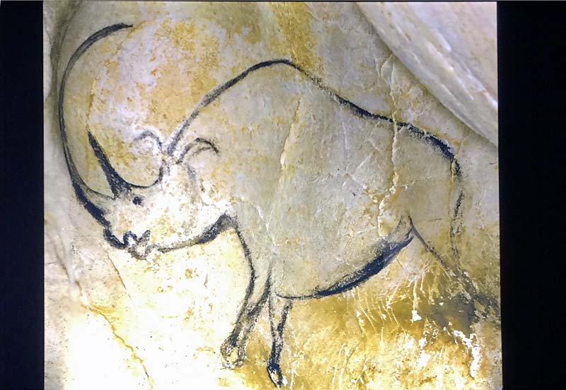  Chauvet Cave Art photo chauvet-grotto-art0007b.jpg