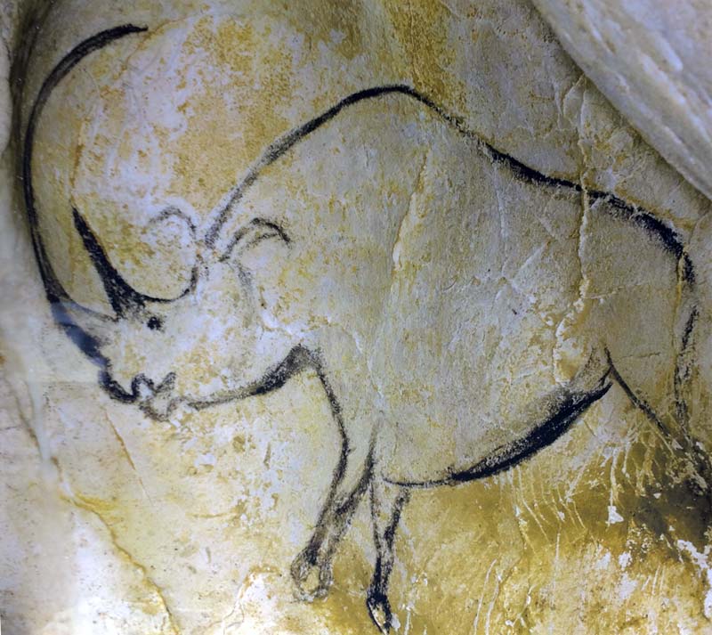  Chauvet Cave Art photo chauvet-grotto-art0008b.jpg